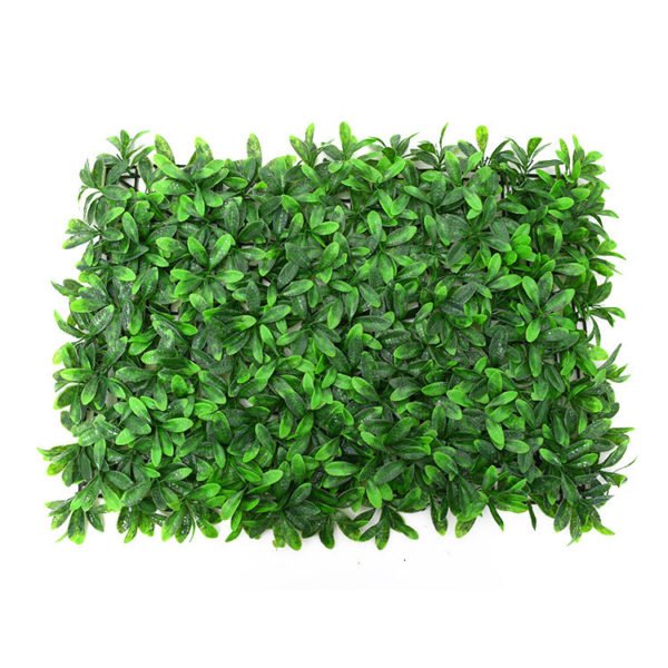 indoor green wall